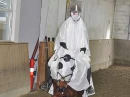 DSC_0219-2_web